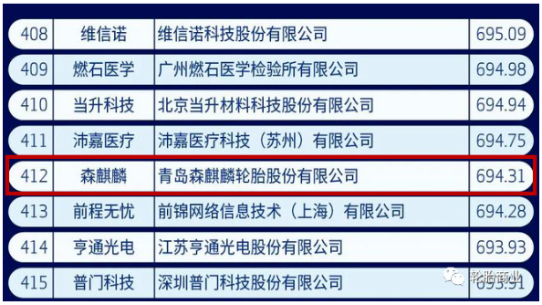 中國(guó)新經(jīng)濟(jì)500強(qiáng)，森麒麟入選